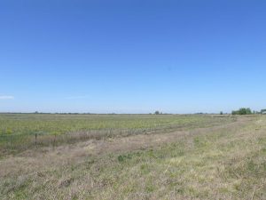 09.10.2008 | Topfebene argentinische Landschaft