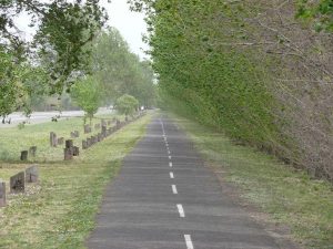 11.10.2008 | Radweg bei General Deheza