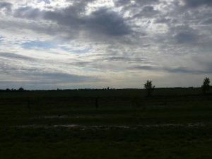 15.10.2008 | In der Pampa