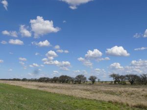 17.10.2008 | La Pampa