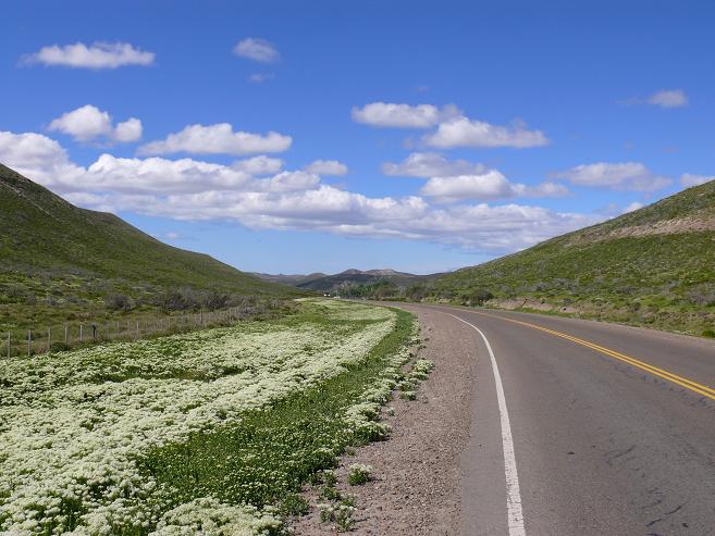 Di 28.10.2008 | Puerto Madryn – Comodoro Rivadavia