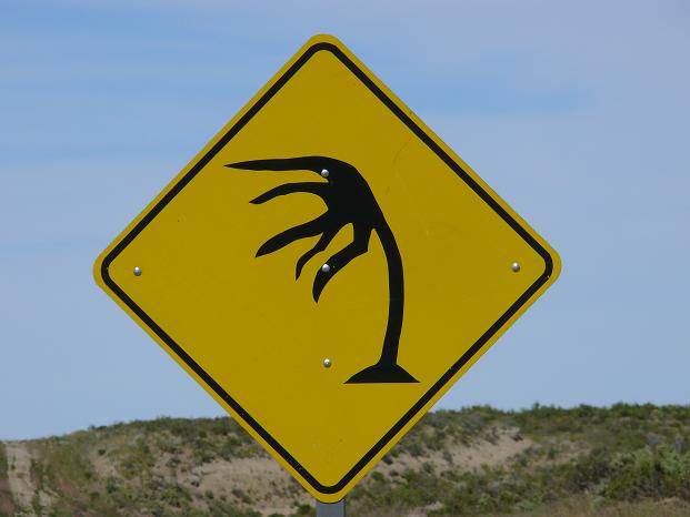 Sa 01.11.2008 | Comodoro Rivadavia – Puerto San Julián