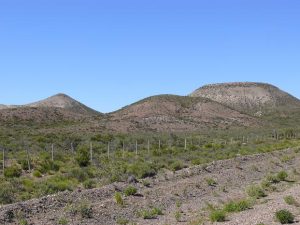 30.10.2008 | Patagonien