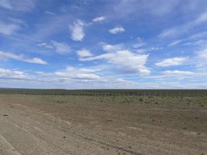 03.11.2008 | Steppenlandschaft