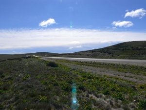 07.11.2008 | Steppenlandschaft