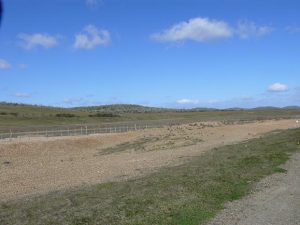 11.11.2008 | Weiterhin flache Landschaft