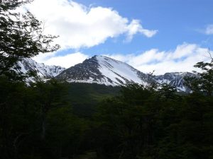 15.11.2008 | Im Abstieg vom Glaciar Martial