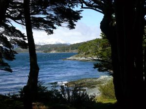 16.11.2008 | Sendero Costera / Parque Nacional Tierra del Fuego