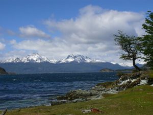 16.11.2008 | Sendero Costera / Parque Nacional Tierra del Fuego