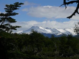 16.11.2008 | Parque Nacional Tierra del Fuego