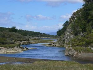 16.11.2008 | Parque Nacional Tierra del Fuego