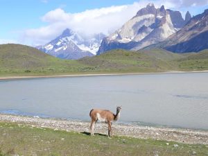 08.12.2008 | Laguna de los Cisnes