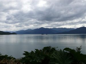 17.01.2009 | Puyuhuapi-Fjord