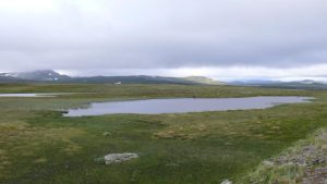 Fjäll-Landschaft auf dem Stekenjokk