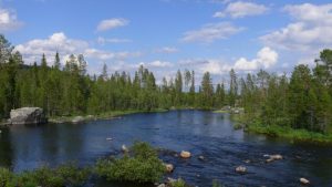Fluss und Waldlandschaft bei Sorsele