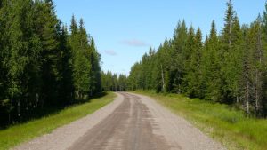 Einsame Strassen durch die Wälder bei Gråträsk