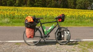 Mein treuer Begleiter