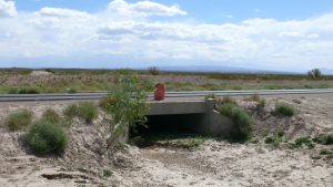 Ein Schattenplätzchen zum Ausruhen
