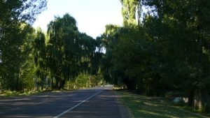 Schatten spendende Alleen