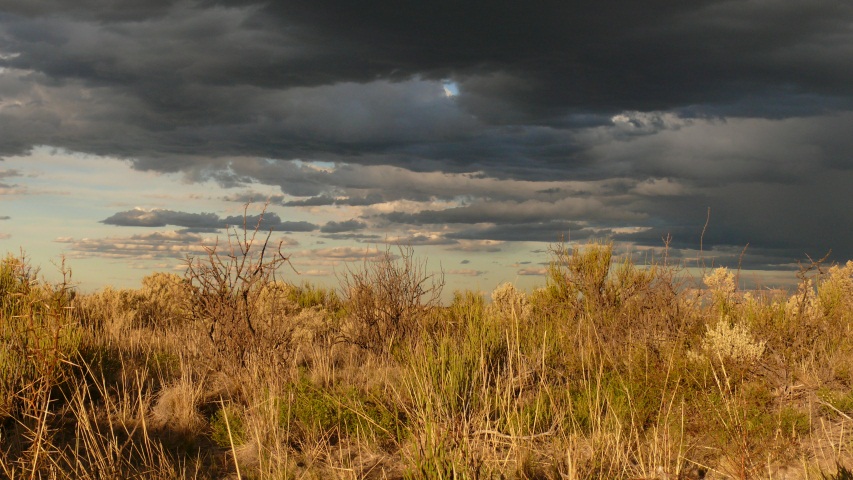 Di 12.03.2013 | Tunuyán – RN 143 km 597