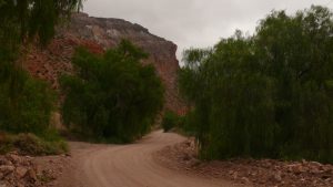 Im Cañon del Atuel