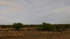 200 Kilometer die selbe Landschaft - entspannend!