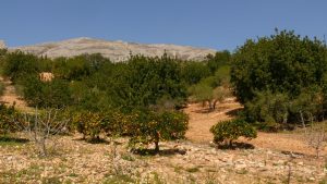 Bei Valle de Abdalajís