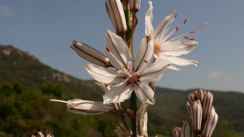 Do 20.03.2014 | Jimena de la Frontera – Ubrique