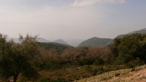 Landschaft beim Mittagessen