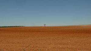 Mal eine ganz andere Landschaft
