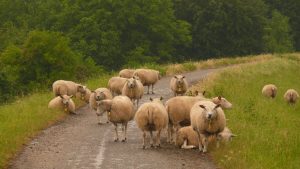 Da musste ich mir den Weg durchbahnen