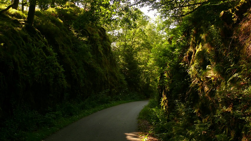 Fr 25.07.2014 | La-Roche-en-Ardenne – Hosingen