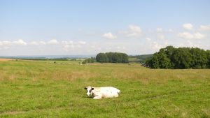Blick über die Hügellandschaft bei Bastogne