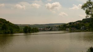 Blick über die Mosel (1)