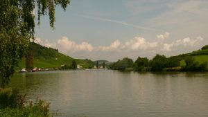 Blick über die Mosel (2)