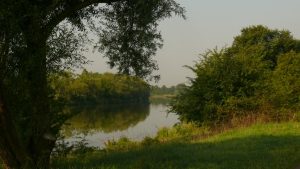 Blick über die Mosel (1)