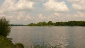 Blick über die Mosel (2)