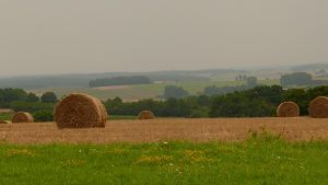 Blick Richtung Vogesen