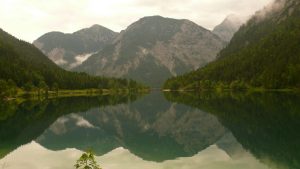 Plansee