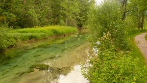 Klares Wasser bei Ettal