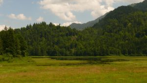 Landschaft bei Ruhpolding