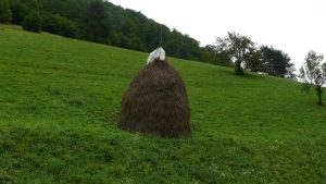 Bosnischer Heustock, etwa 5 Meter hoch