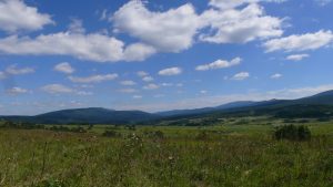 Hochplateau vor Bosanski Petrovac (1)