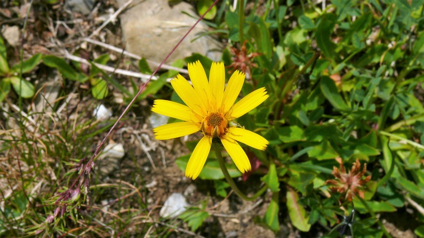 Di 18.07.2017 | Charmey – Bramois