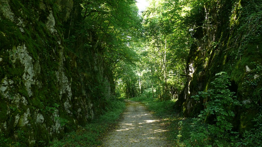 Diesen Abschnitt hätte ich ohne Navi kaum gefunden!