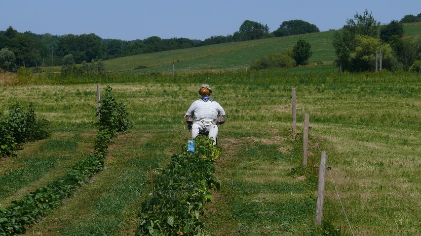 Gemütliche Vogelscheuche