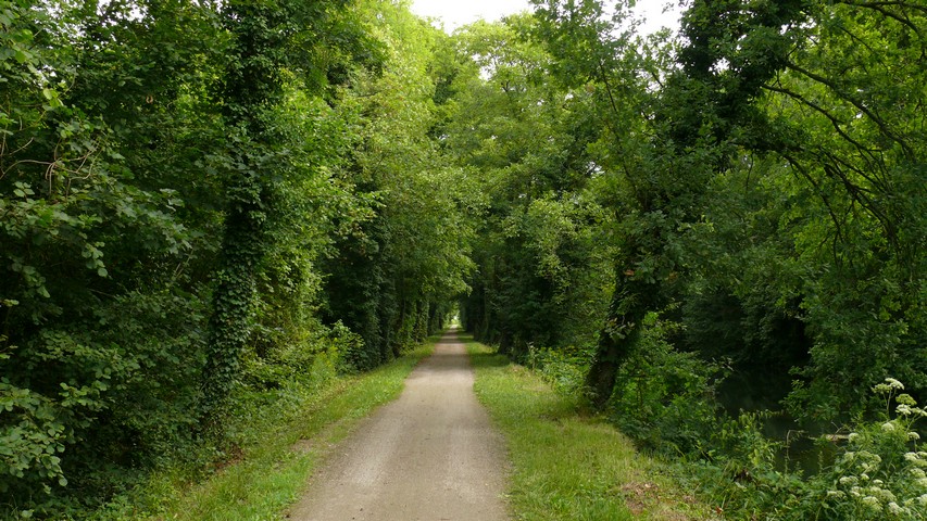 Radweg am Rhein-Rhone-Kanal