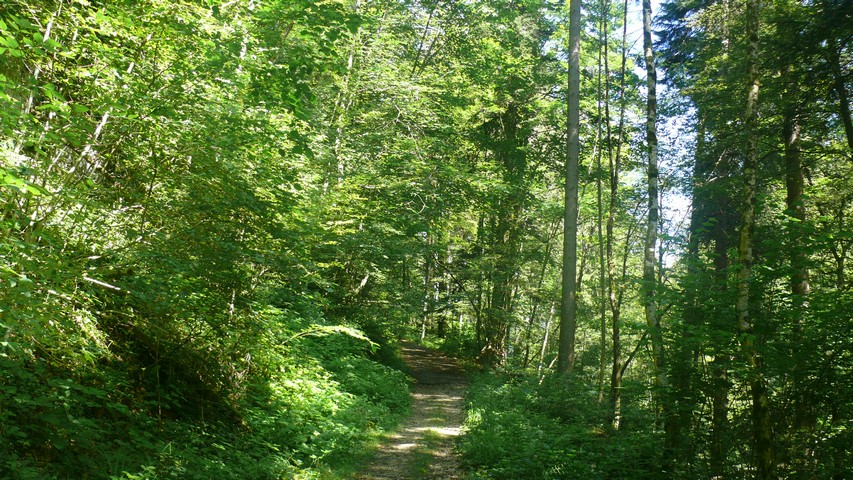 Sa 04.07.2020 | Etappe 1: Beinwil – Blauen