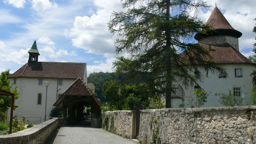 Zwingen