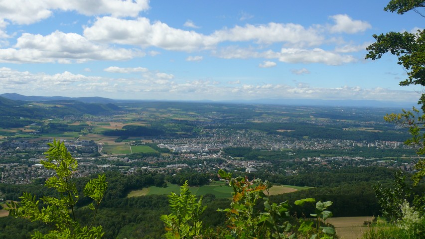 Schartenflue